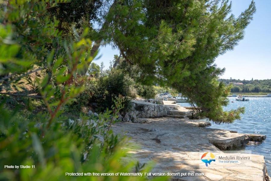 Four Bedroom House Amaya Villa